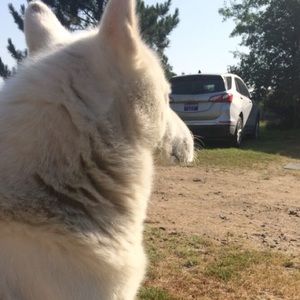 Meet your Posher, Ssamantha